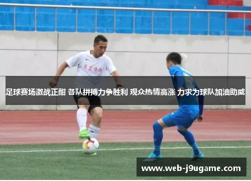 足球赛场激战正酣 各队拼搏力争胜利 观众热情高涨 力求为球队加油助威