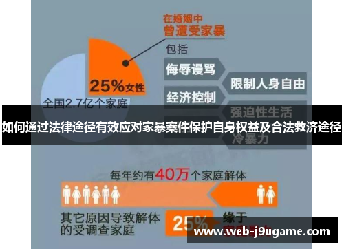如何通过法律途径有效应对家暴案件保护自身权益及合法救济途径
